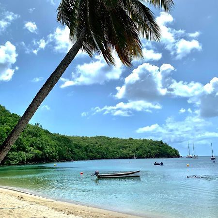 Appartamento Chez Marie André et Jeanne Grande Anse Esterno foto